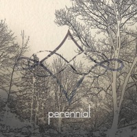 Perennial - Single - Perennial