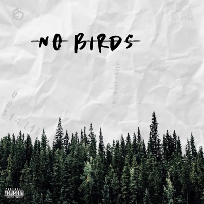 No Birds - EP