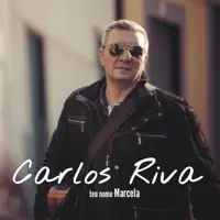 acabei com o trabalho — Carlos Riva