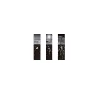 Adelante — Tappan