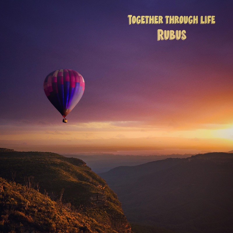 Together Through Life - Single