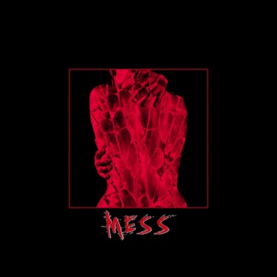 Mess (feat. Chris Namoc) - Single