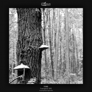 Transpose - Single
