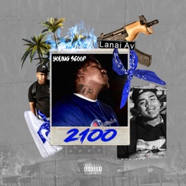 Quit Telling Young Scoop