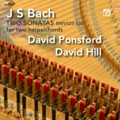 Sonata No. 4 in E Minor BWV 528: II. Andante (arr. David Ponsford) artwork