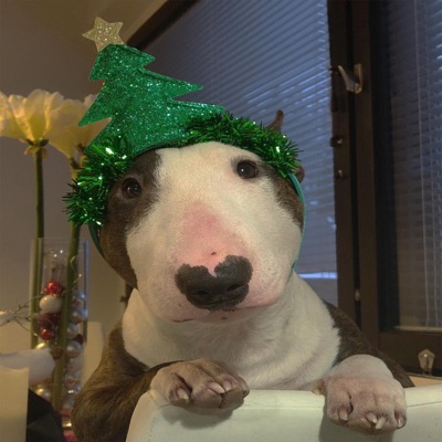 BullBap Christmas - EP