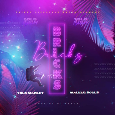 Bricks (feat. Maleeq Souls) - Single