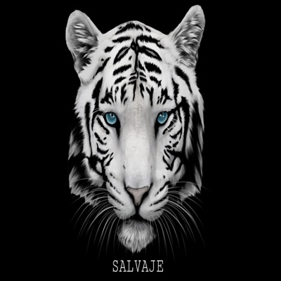 Salvaje - Single