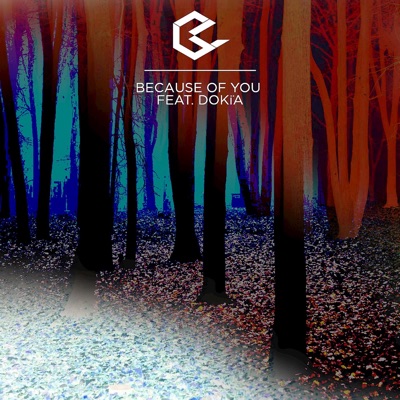 Because of You (feat. DokÏa) - Single