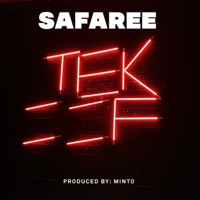Tek Off - Single - Safaree