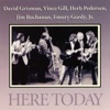 David Grisman - My Walking Shoes