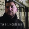Fatih Burdurlu - Yan Deli Gönül Yan