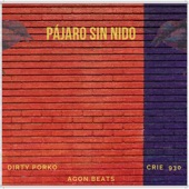 Pájaro Sin Nido (feat. Agon Beats) artwork