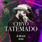 Chivo Tatemado (En Vivo) artwork