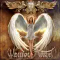 Falling Angel