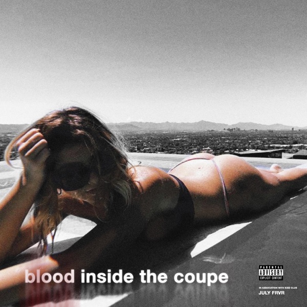 Blood Inside the Coupe