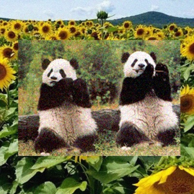 Canción Del Ballotage - Single