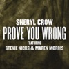 Prove You Wrong (feat. Stevie Nicks & Maren Morris) - Single, 2019