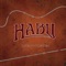 Goodbye - Habu lyrics