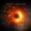 Vision of Collapsing Stars - Single