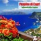 Le Stelle D'Oro - Peppino di Capri lyrics