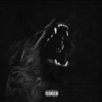 Wolves - Single - Capo FNN