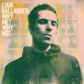 Liam Gallagher - Now That I've Found You