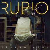 Pájaro Azul artwork