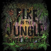 Oliver Koletzki - Fire in the Jungle