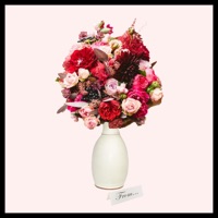 Things I'll Never Say - EP - Andrew Chris & Dante.