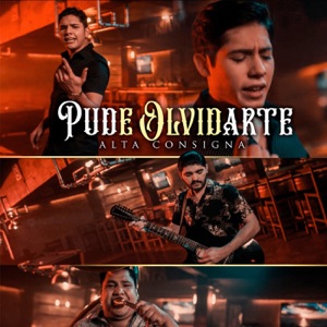 Pude Olvidarte - Single