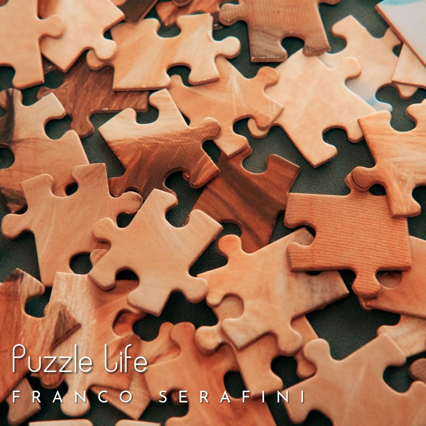 Puzzle Life - Single