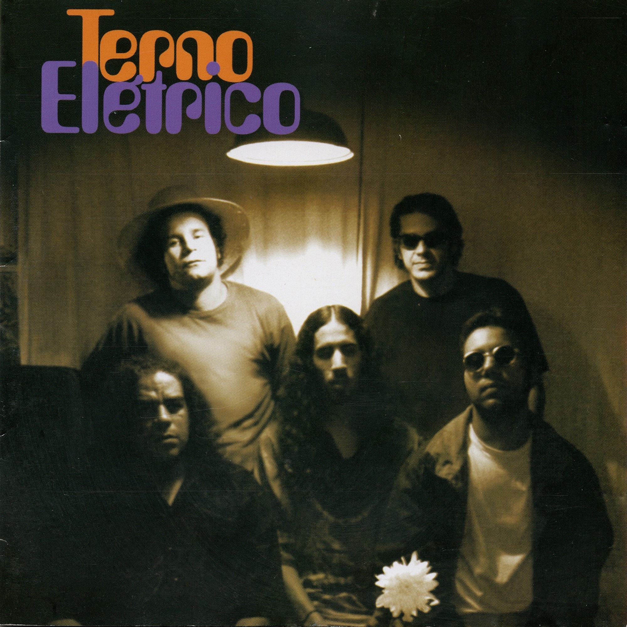 Terno Elétrico