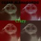 Crazy - Cesar Alamagordo lyrics