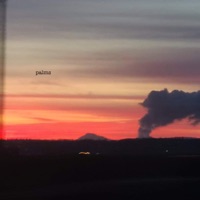 Palms - Single - Zebvlxn