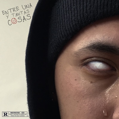 Entre una y Tantas Cosas