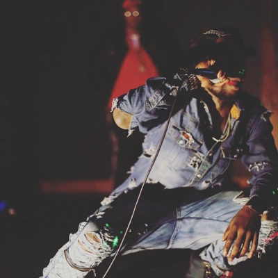 Roses Are in the Trenches