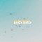 Lady Bird (feat. SirSlapsTheBass) - Pretty Dim lyrics