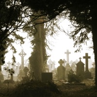 Sublime - Single - Deadcrxw