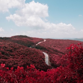 By Any Means (Interlude) Des Brennan