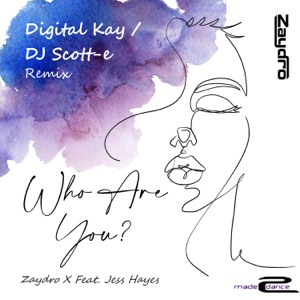 Who Are You (Remixes) [feat. Jess Hayes] - Single