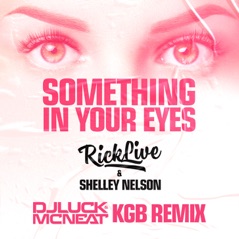 Something In Your Eyes (DJ Luck & MC Neat KGB Remix) - Single