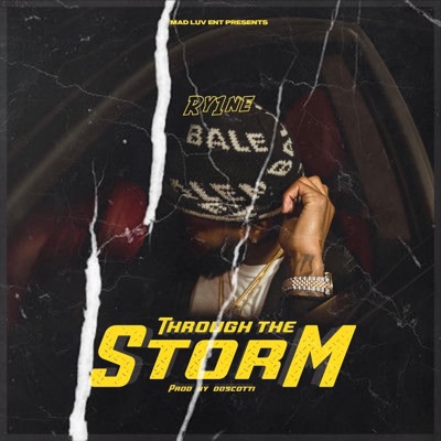 Through the Storm - Single