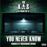 You Never Know (feat. Big Al) - Single - The K.a.S