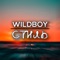 Стиль - WILDB0Y lyrics
