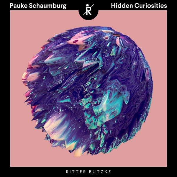 Hidden Curiosities - Single