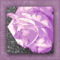 What's Your Passion For? (feat. Ed Money 2.0) - Single - BVNE