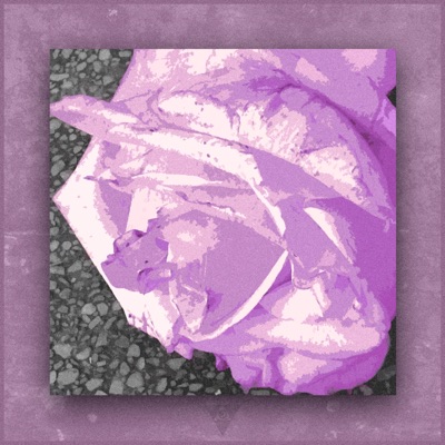 What's Your Passion For? (feat. Ed Money 2.0) - Single