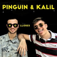 No Llores (feat. K.A.L.I.L.) - Single - Pingüin