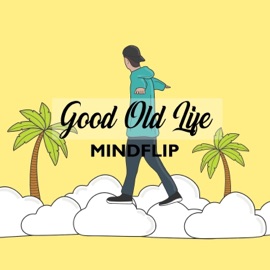 Good Old Life Mindflip